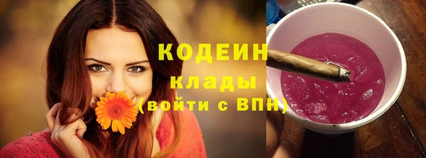 СК Бронницы