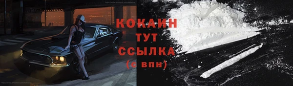 гашиш Богданович