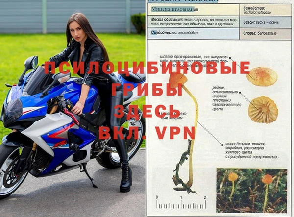 бошки Бугульма