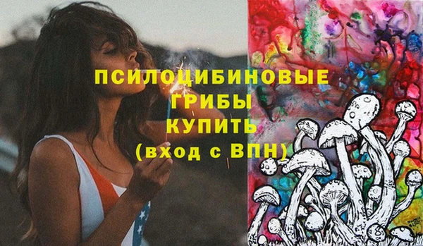 не бодяженный Богородицк