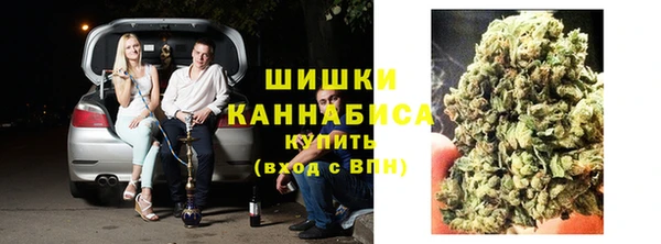 тгк Пестово