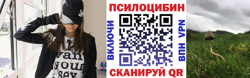 Псилоцибиновые грибы GOLDEN TEACHER Вуктыл